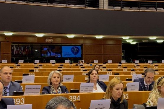 Замјеница предсједавајућег Представничког дома Борјана Кришто учествује у раду Европске парламентарне седмице 2020